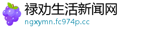 禄劝生活新闻网